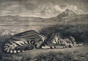 Eugene Delacroix - Le Tigre Royale