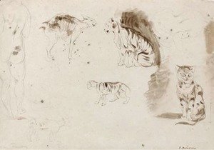 Studies of cats, other felines and two female nudes seen from behind