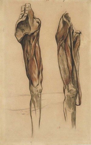 Study of two echorche legs