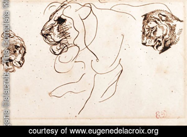 Eugene Delacroix - Three heads of lions