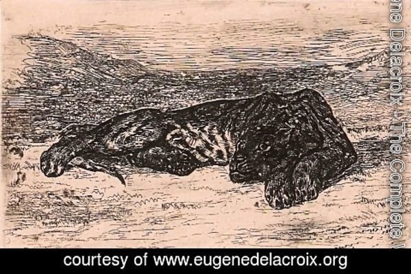 Eugene Delacroix - Panther