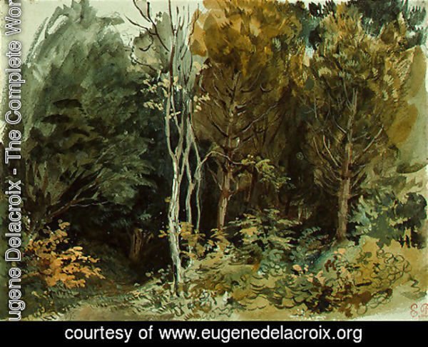 Eugene Delacroix - The Edge of a Wood at Nohant