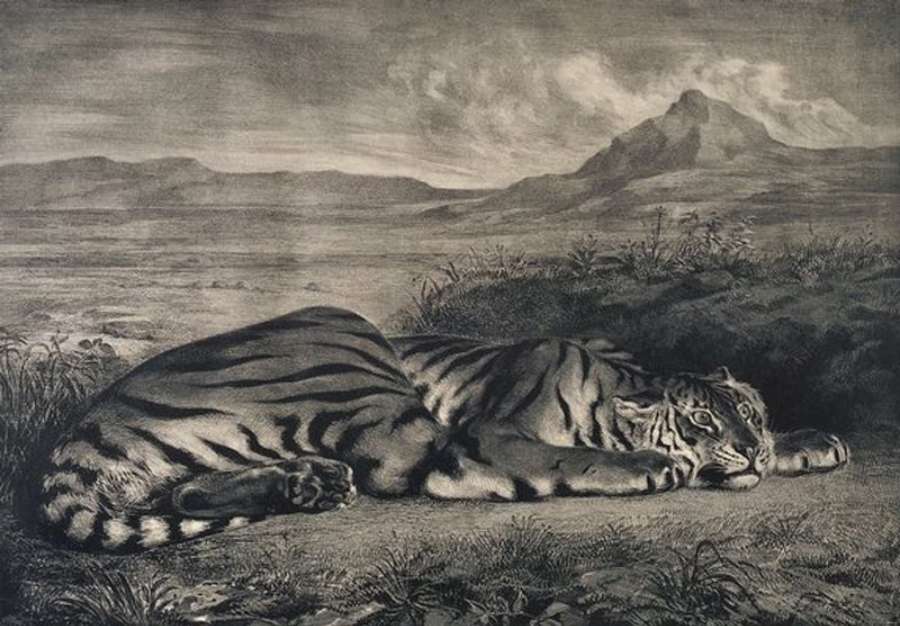 Le Tigre Royale by EUGÈNE DELACROIX