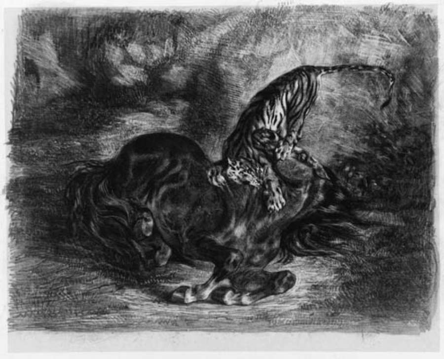 Cheval sauvage terrasse par un Tigre by EUGÈNE DELACROIX