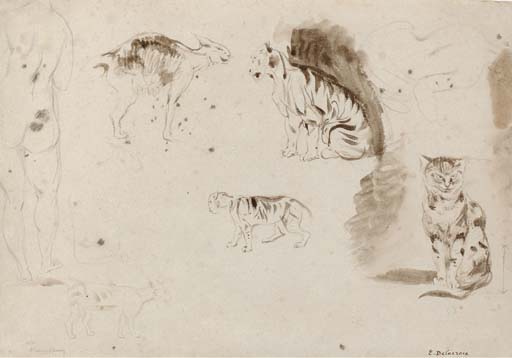 Studies of cats, other felines and two female nudes seen from behind by EUGÈNE DELACROIX