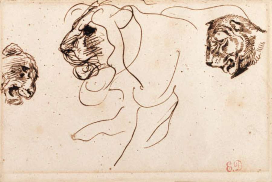 Three heads of lions by EUGÈNE DELACROIX