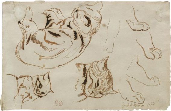 Sheet Of Studies Of A Sleeping Cat by EUGÈNE DELACROIX