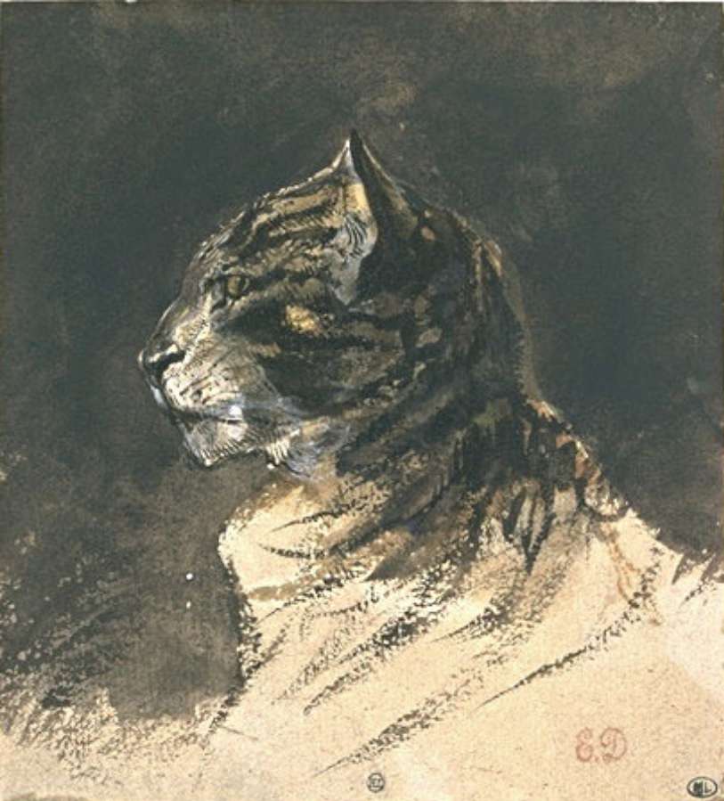 Cat head by EUGÈNE DELACROIX