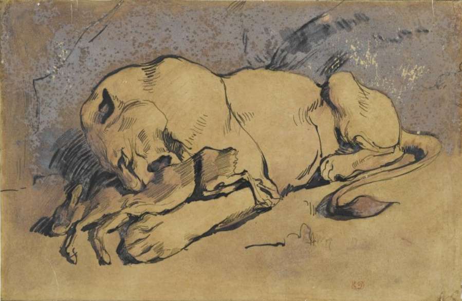 Lioness devouring a Rabbit by EUGÈNE DELACROIX