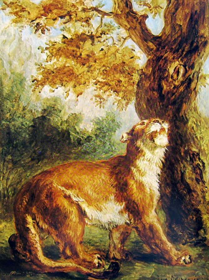Puma (Lioness watching prey) by EUGÈNE DELACROIX
