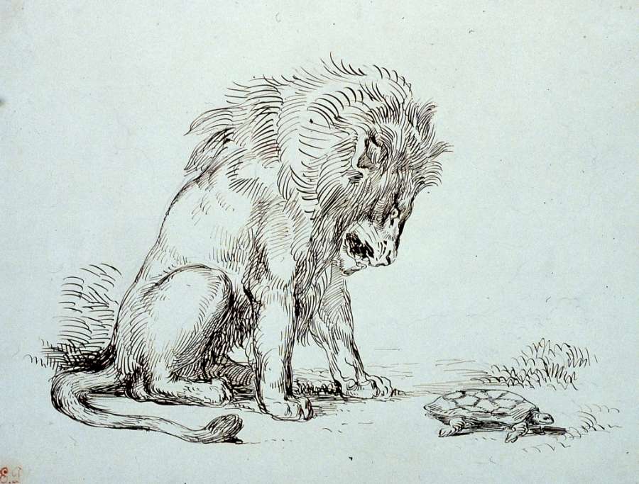 Lion and Tortoise by EUGÈNE DELACROIX