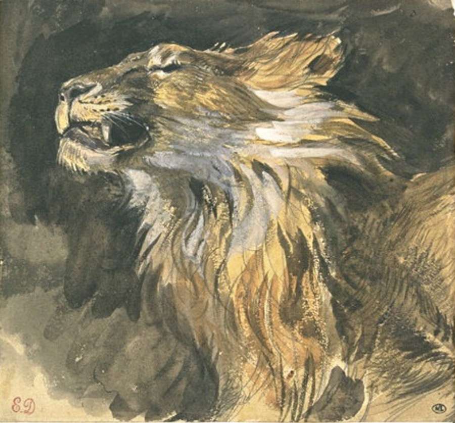 Roaring lion's head by EUGÈNE DELACROIX