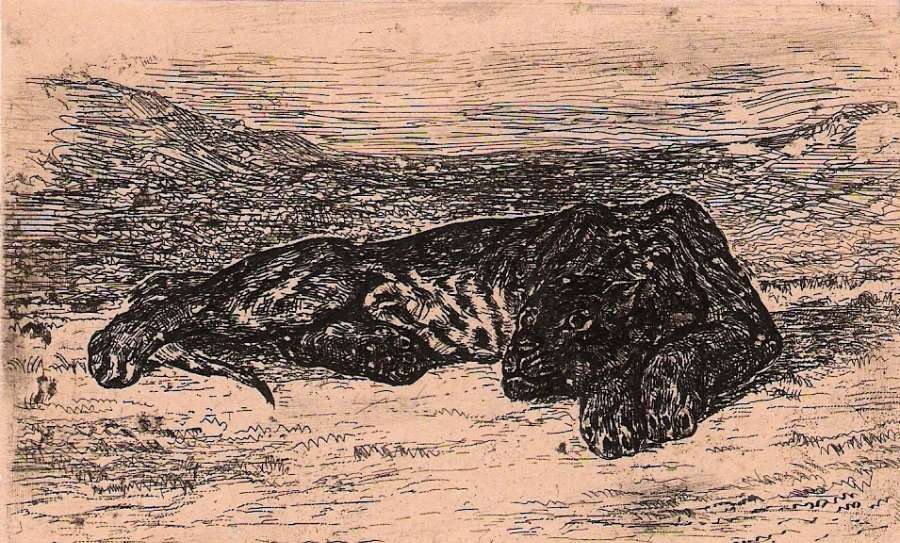 Panther by EUGÈNE DELACROIX
