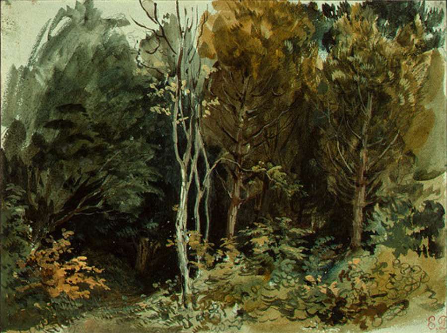 The Edge of a Wood at Nohant by EUGÈNE DELACROIX