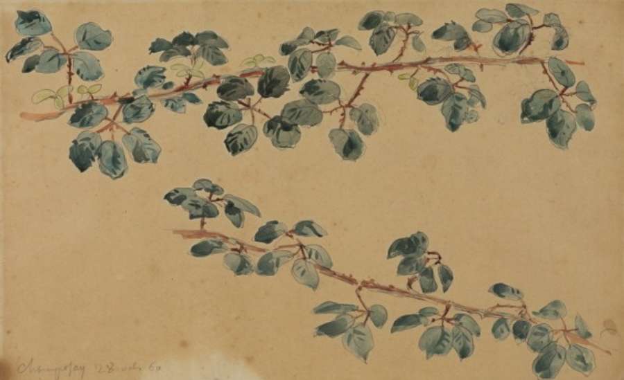 Two branches with leaves by EUGÈNE DELACROIX