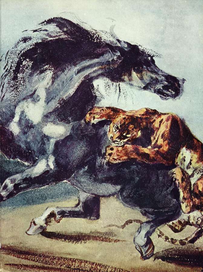 Tiger attacks a horse by EUGÈNE DELACROIX