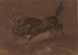 Horses running