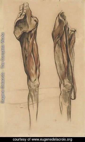 Eugene Delacroix - Study of two echorche legs
