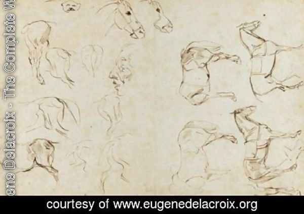 Eugene Delacroix - Etude De Chevaux