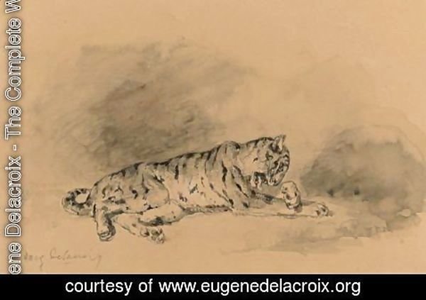 Eugene Delacroix - Study Of A Tiger