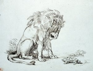 Lion and Tortoise