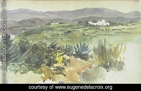 Landscape near Tangier